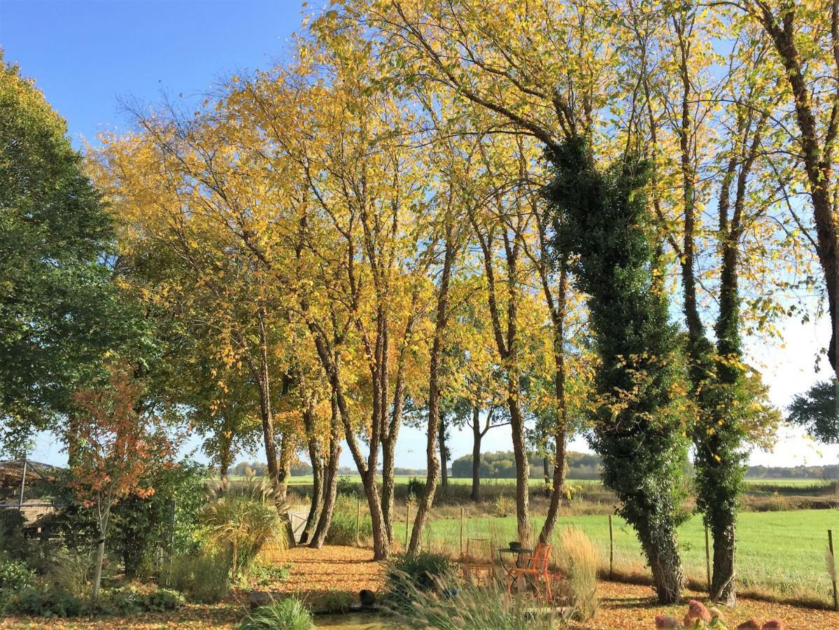 Bed and Breakfast De Porrepoele Alteveer Zewnętrze zdjęcie